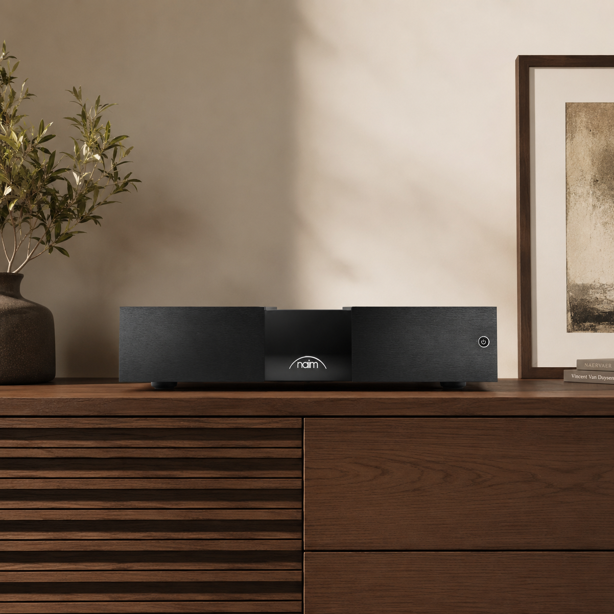 Naim NAP 350 Etapa de Potencia Monoblock High End 175Wx1