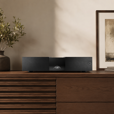 Naim NAP 350 Etapa de Potencia Monoblock High End 175Wx1